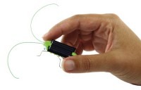 Solar Power Grasshopper