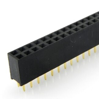 Female Double Row 2x40 Pin Header